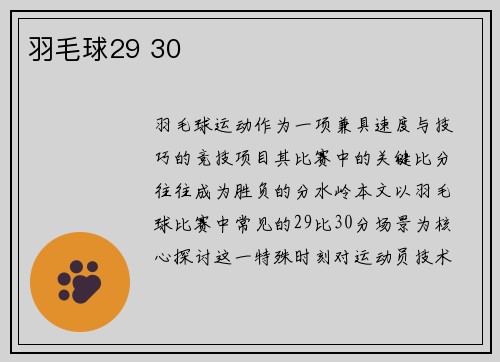 羽毛球29 30