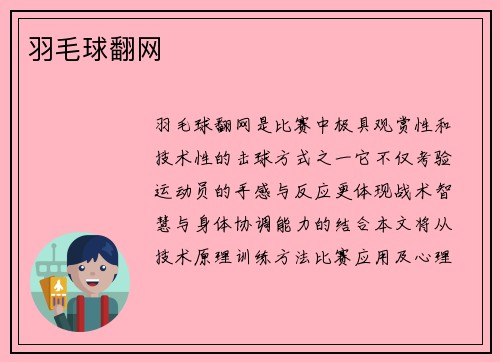 羽毛球翻网