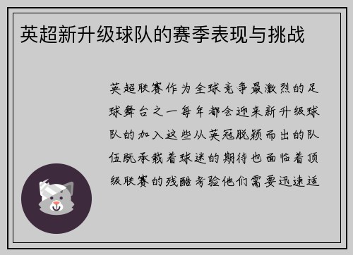 英超新升级球队的赛季表现与挑战