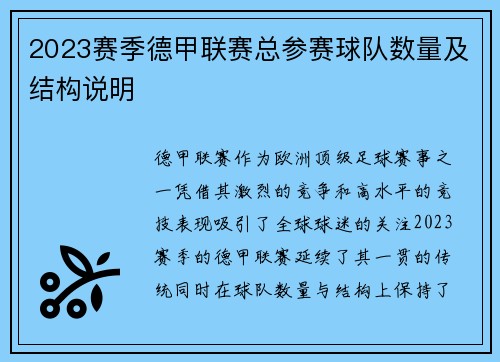 2023赛季德甲联赛总参赛球队数量及结构说明