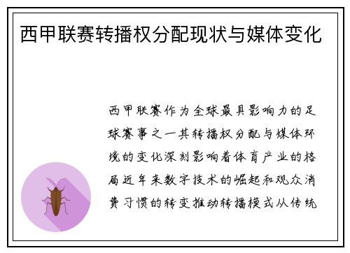 西甲联赛转播权分配现状与媒体变化