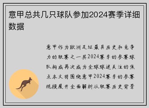 意甲总共几只球队参加2024赛季详细数据