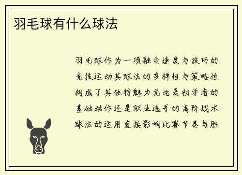 羽毛球有什么球法